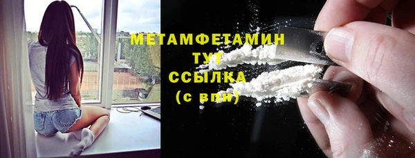 прущие грибы Волоколамск