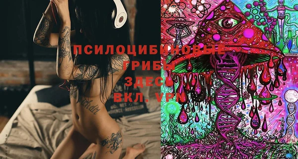 прущие грибы Волоколамск