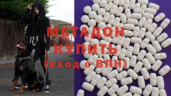 прущие грибы Волоколамск
