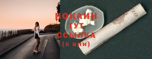 прущие грибы Волоколамск